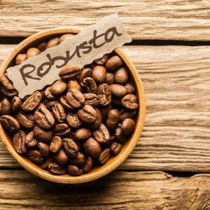 robusta