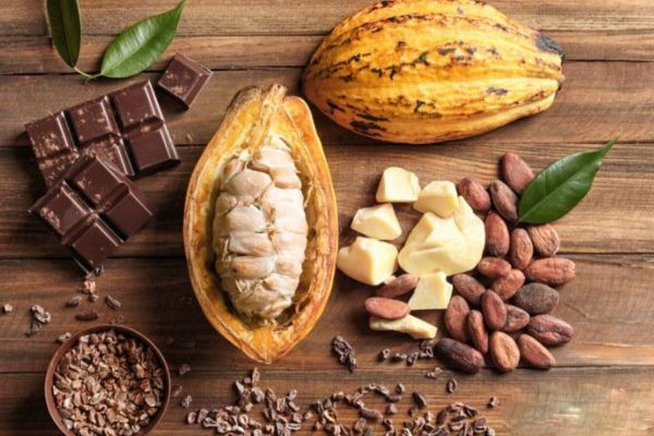 Hướng dẫn sử dụng bơ cacao