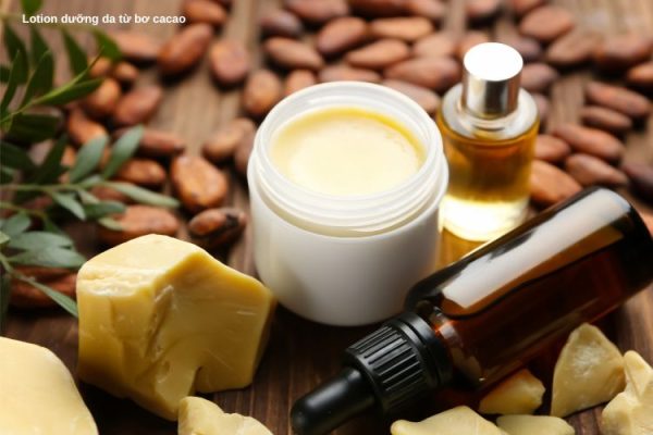 Lotion dưỡng da từ bơ cacao